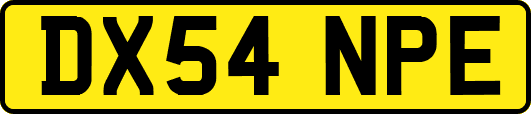 DX54NPE