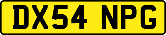 DX54NPG