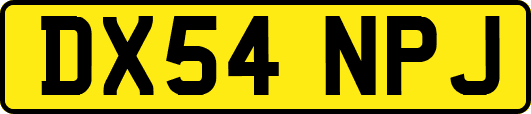 DX54NPJ