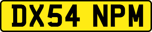 DX54NPM