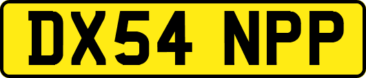 DX54NPP