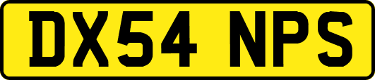 DX54NPS