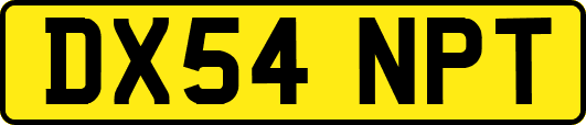 DX54NPT