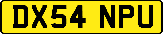 DX54NPU