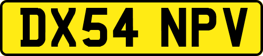 DX54NPV