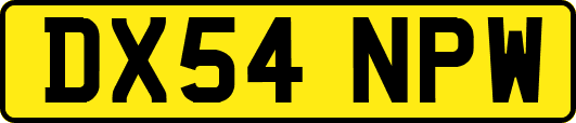 DX54NPW