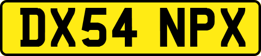 DX54NPX