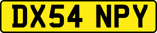 DX54NPY