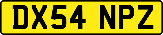 DX54NPZ