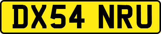 DX54NRU