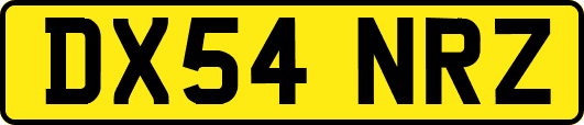 DX54NRZ
