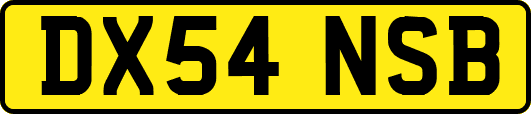 DX54NSB