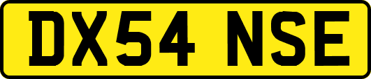 DX54NSE