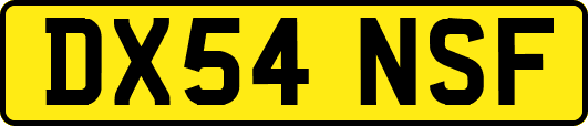 DX54NSF