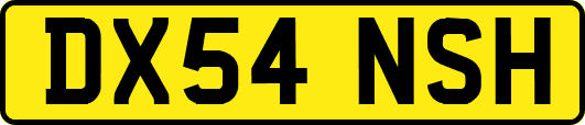 DX54NSH