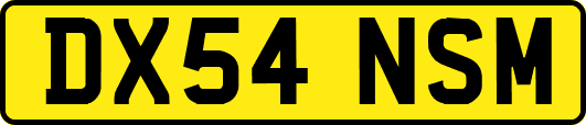 DX54NSM