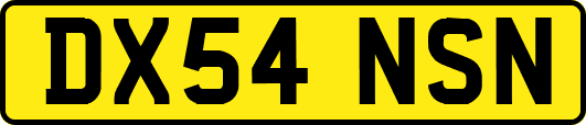 DX54NSN