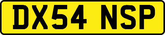 DX54NSP