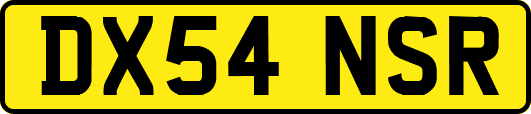 DX54NSR