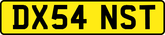 DX54NST