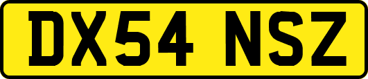 DX54NSZ