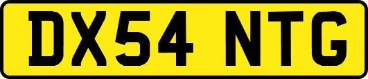 DX54NTG