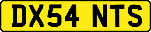 DX54NTS