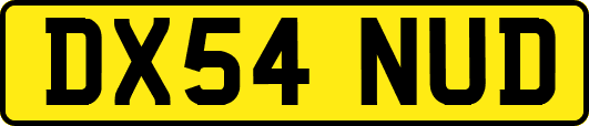 DX54NUD