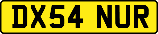 DX54NUR