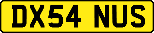 DX54NUS