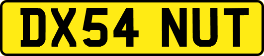 DX54NUT
