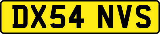 DX54NVS