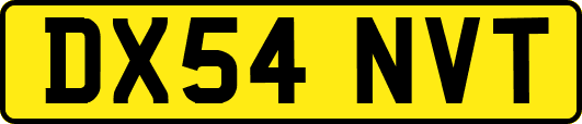 DX54NVT