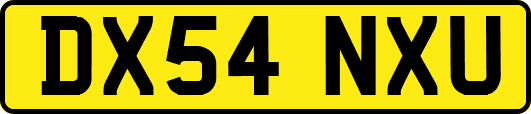 DX54NXU