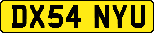 DX54NYU