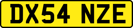 DX54NZE