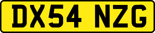 DX54NZG