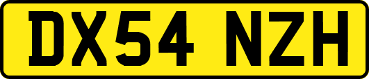 DX54NZH