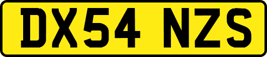 DX54NZS