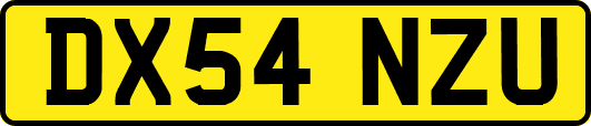 DX54NZU