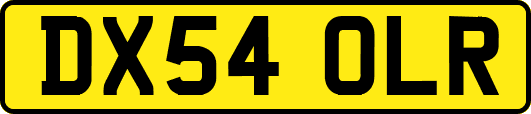 DX54OLR