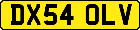 DX54OLV