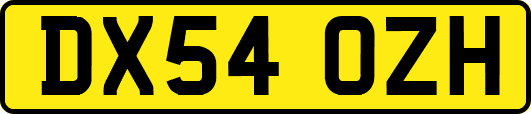 DX54OZH