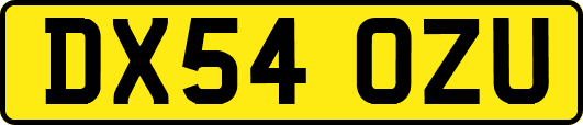 DX54OZU