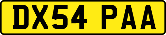DX54PAA