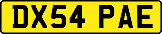 DX54PAE