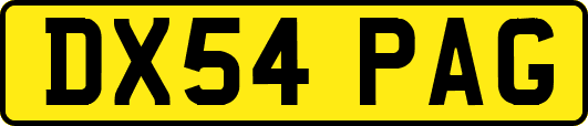 DX54PAG