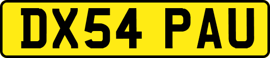 DX54PAU