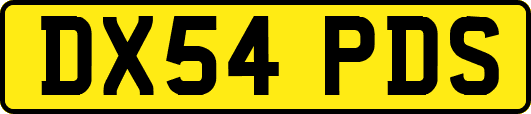 DX54PDS