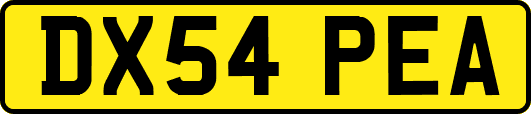 DX54PEA